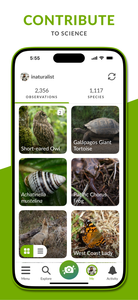 iNaturalist - Perfil de la aplicación móvil iNaturalist que muestra una colección de observaciones de la naturaleza, incluyendo una tortuga búho y una mariposa.