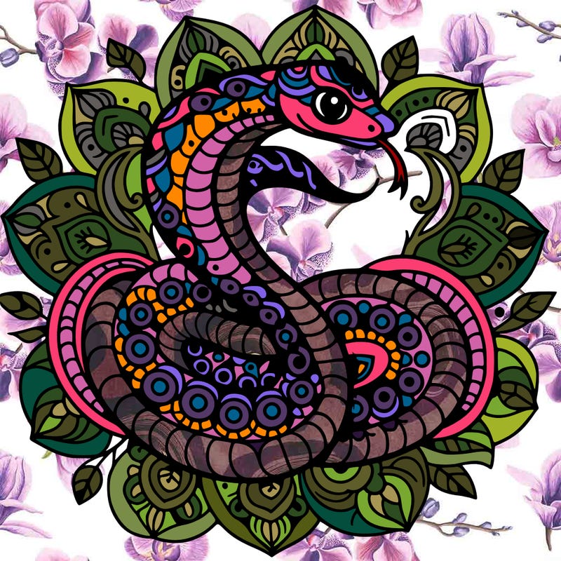 mandala beautiful snake