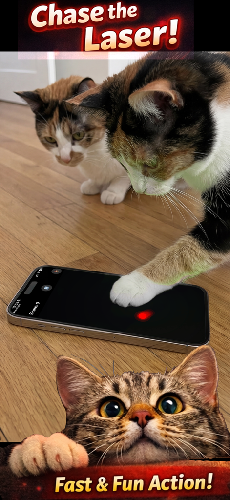 Cat Games for Cats: Meow - A cat using its paw to catch a digital laser dot on a smartphone screen