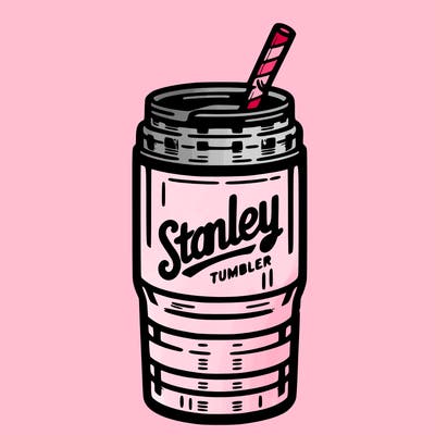 stanley tumbler bottle with handle and straw