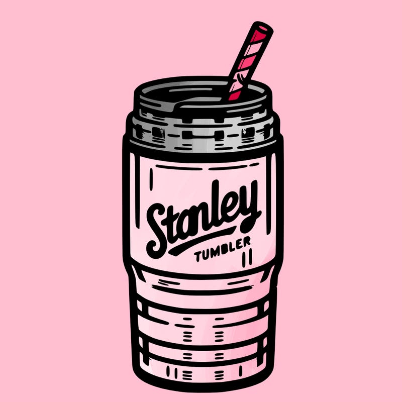 stanley tumbler bottle with handle and straw