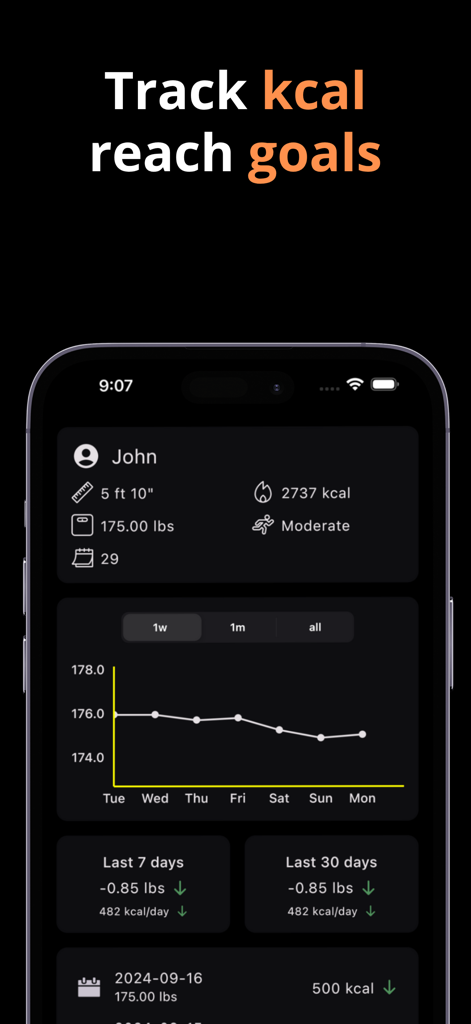 Calorie Intake Tracker - Panel minimalista de la aplicación Fitpo que muestra tendencias de peso y datos de seguimiento calórico