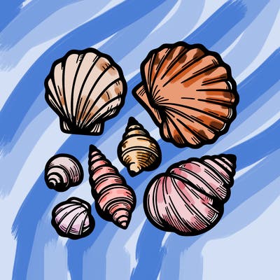shells