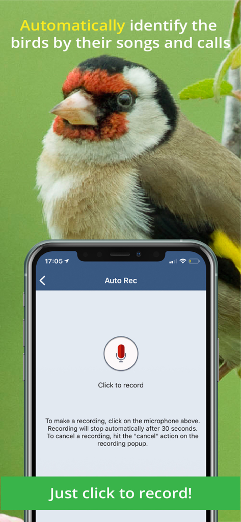 Bird Song Id UK app interface for recording and identifying bird songs