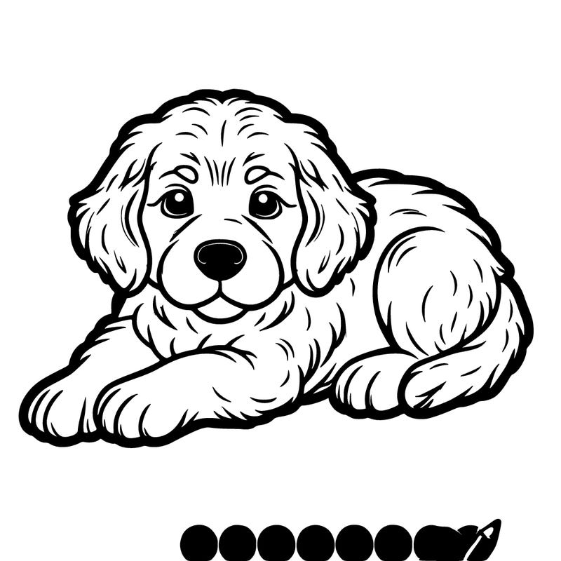 bébé goldon retriver