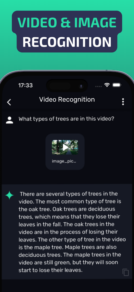 Interface do aplicativo Evo AI mostrando o reconhecimento de vídeo identificando tipos de árvores a partir de um vídeo carregado