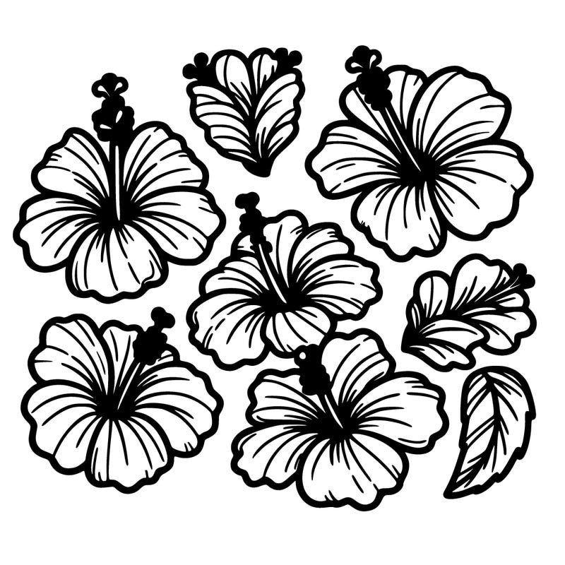 🌺🌺🌺🌺🌺🌺🌺