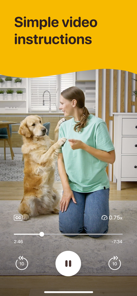 Woofz - Puppy and Dog Training - A woman following simple video instructions in the Woofz app to train her golden retriever dog.