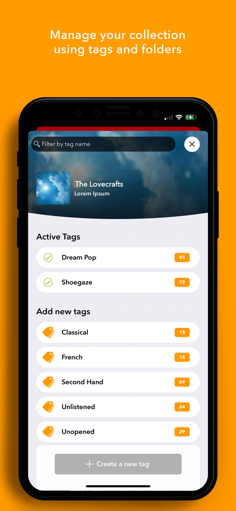 Discographic for Discogs - Interfaccia per la gestione di una collezione musicale utilizzando tag e cartelle personalizzate in Discographic.
