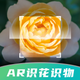 花卉识别图鉴-拍照识花，识花，认花，轻松辨别花卉品种