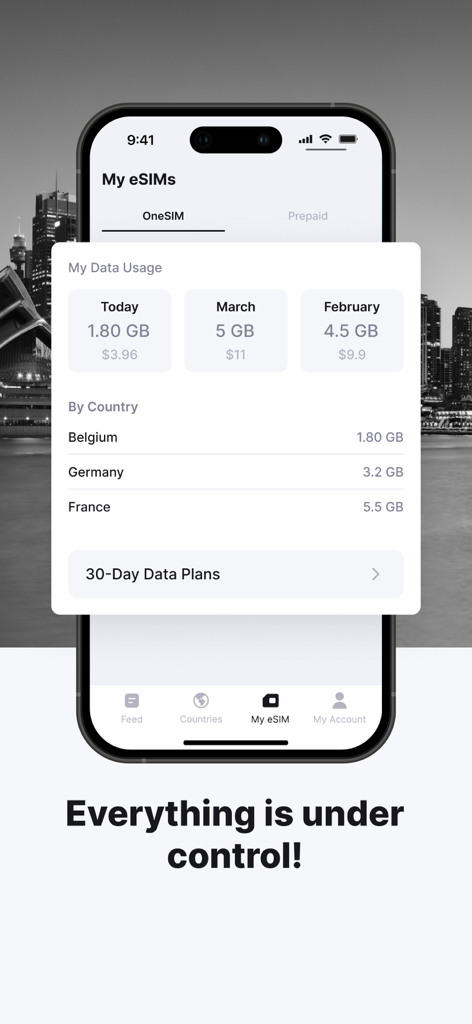 eSIM io: Global SIM Card - Interfaccia dell'app mobile che mostra l'utilizzo dettagliato dei dati internazionali e i costi per paese