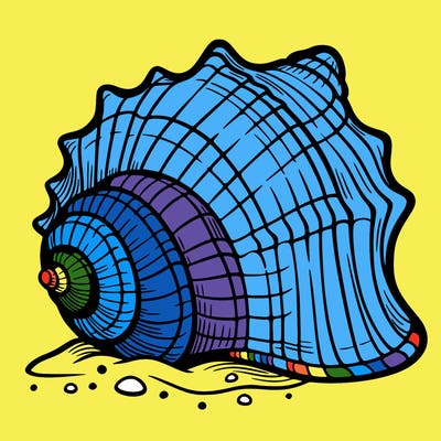 sea shell