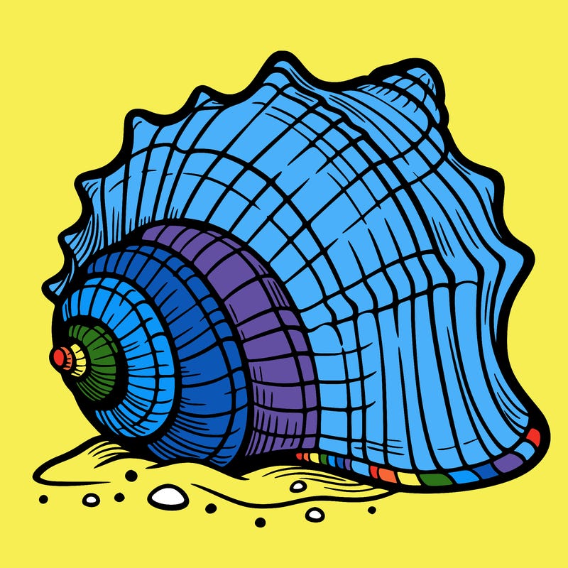 sea shell