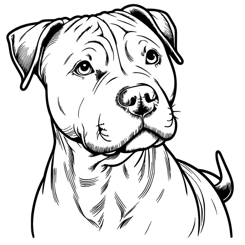 a realistic pit bull