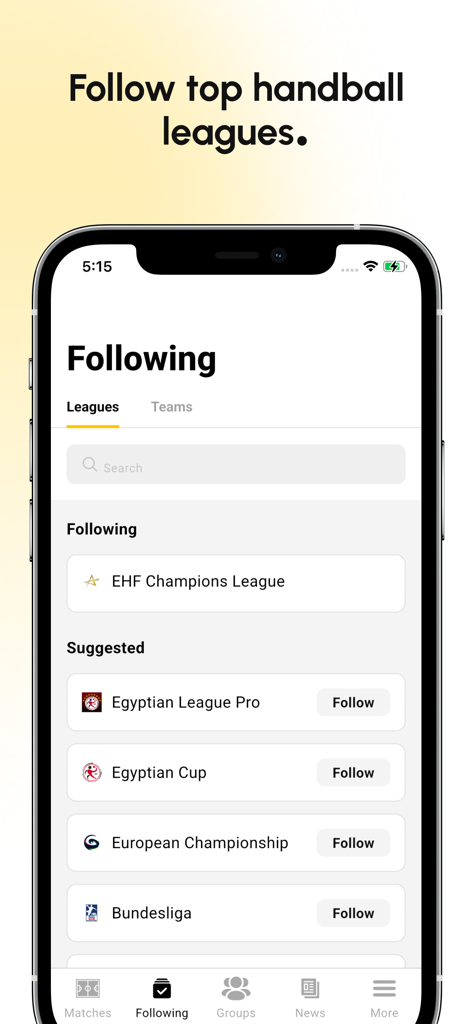 Handball Hub app interface to follow top handball leagues like Bundesliga and EHF Champions League.