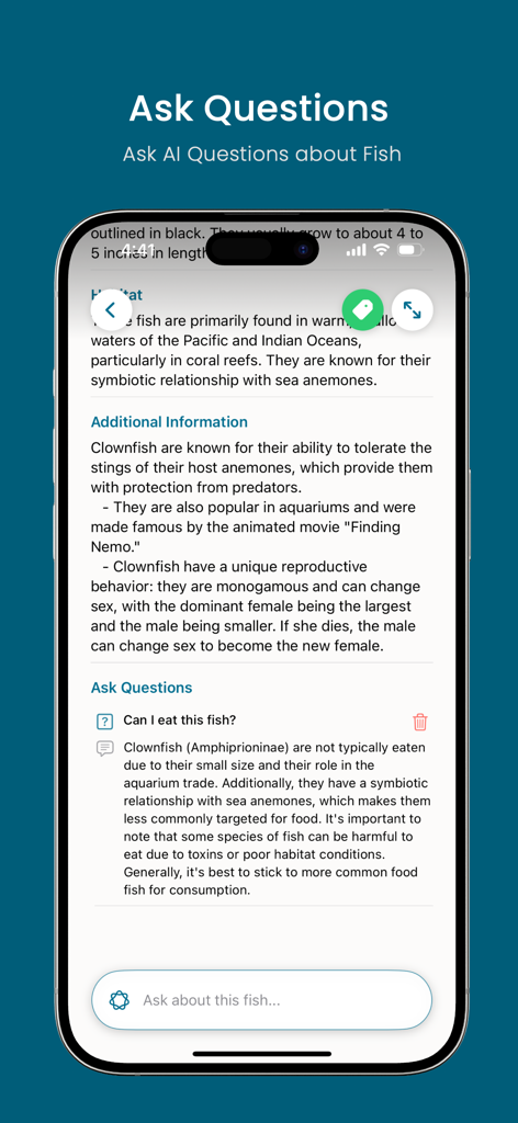 Fish Identifier AI: Fish ID - A screenshot of the Fish ID app showing an AI chat interface providing details and answering questions about clownfish