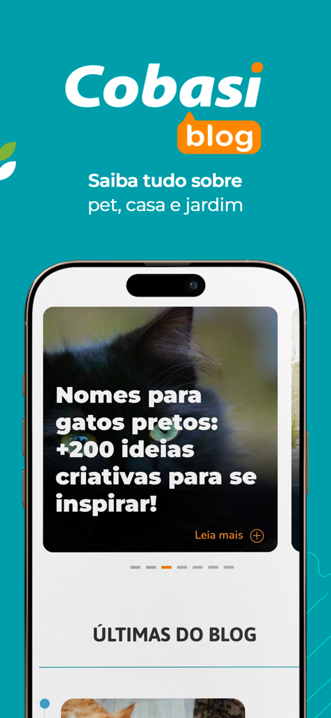Cobasi: pet shop online - Interfaccia del blog dell'app mobile Cobasi che mostra un articolo sui nomi creativi per gatti neri