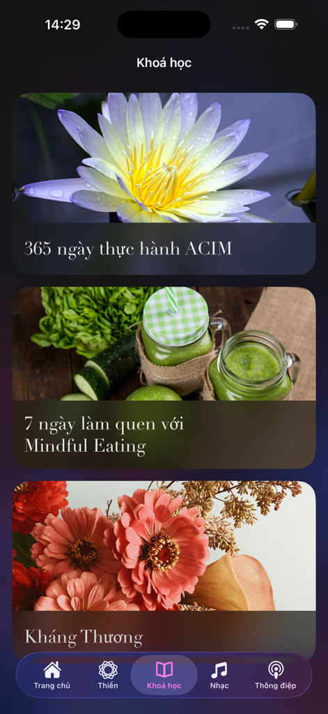 Vietnamese meditation app interface showing mindfulness course options including Mindful Eating and ACIM practice
