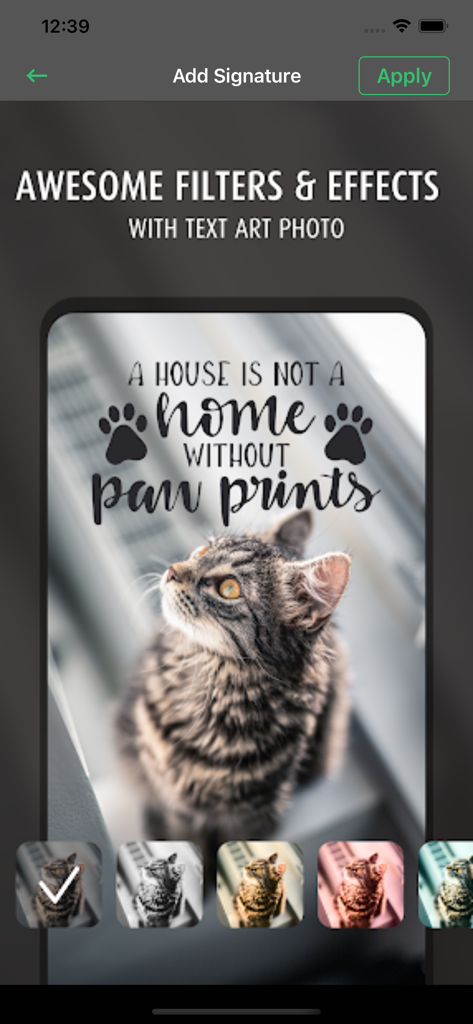 Typorama-Edit Text On Pictures - Typorama app interface showing photo filters and text art on a cat photo