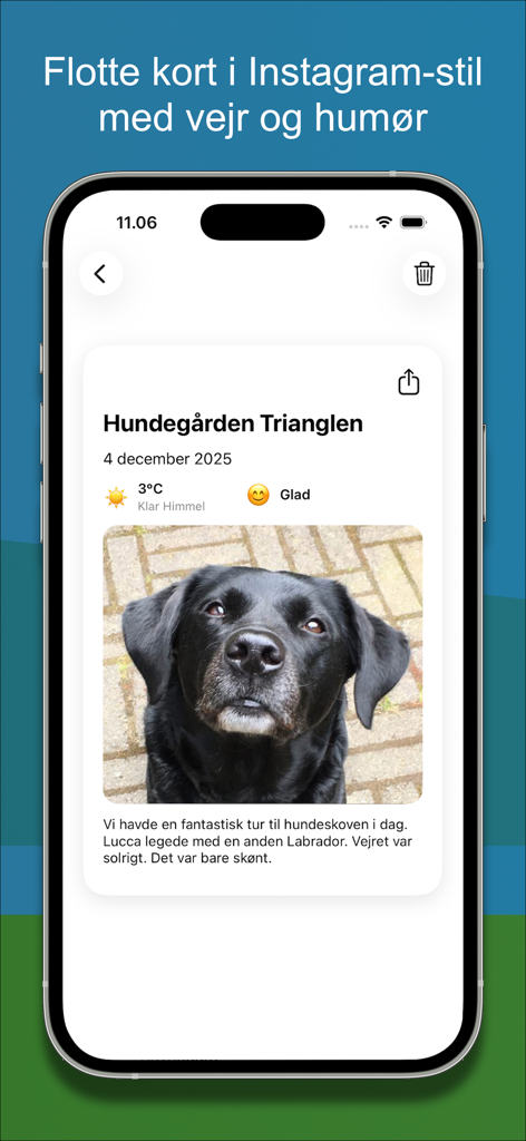 Dog forest - A shareable dog diary card featuring a photo of a black dog and walk details like weather and mood