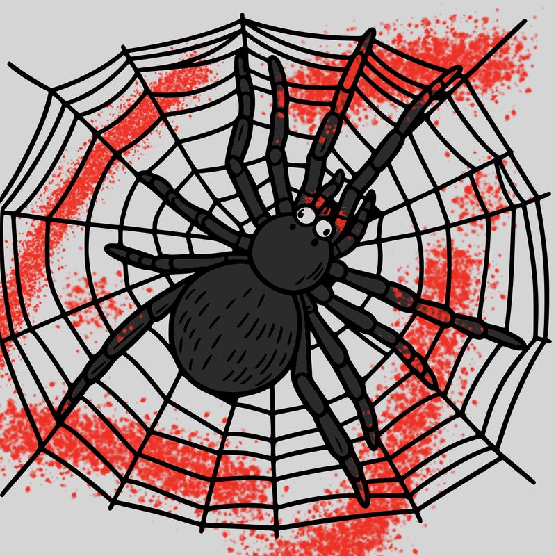spider on a web