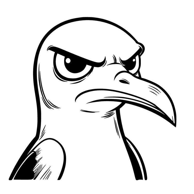 serious seagull