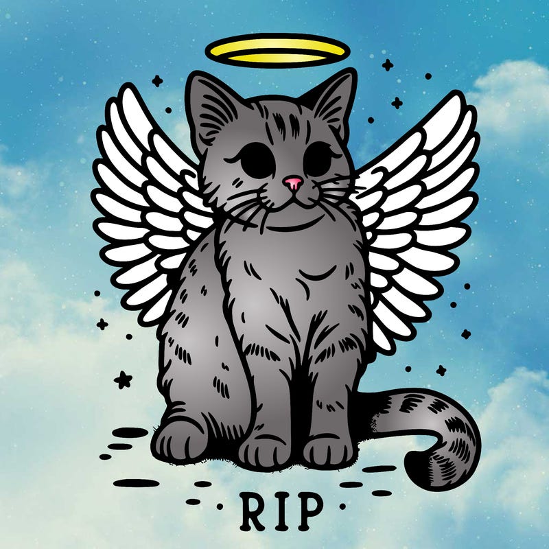 rip cat realistic cat with angel wings