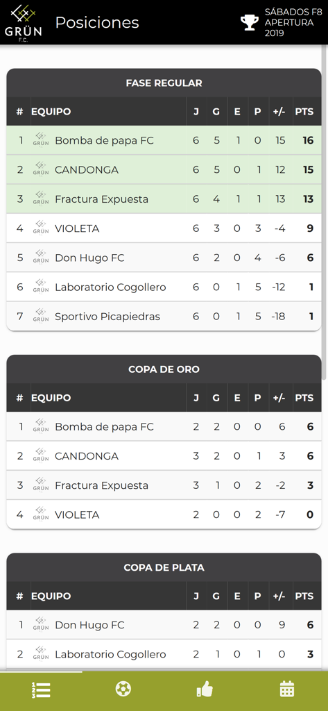 Tournament standings table showing team rankings and points for regular phase and cups in a soccer tournament app.