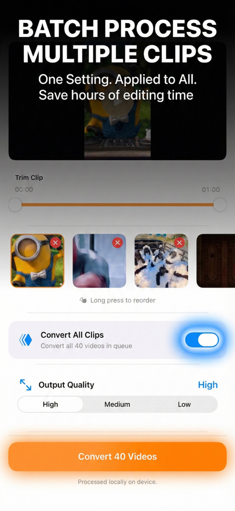 Interface showing batch video processing of multiple clips in the Offline Video Converter app.
