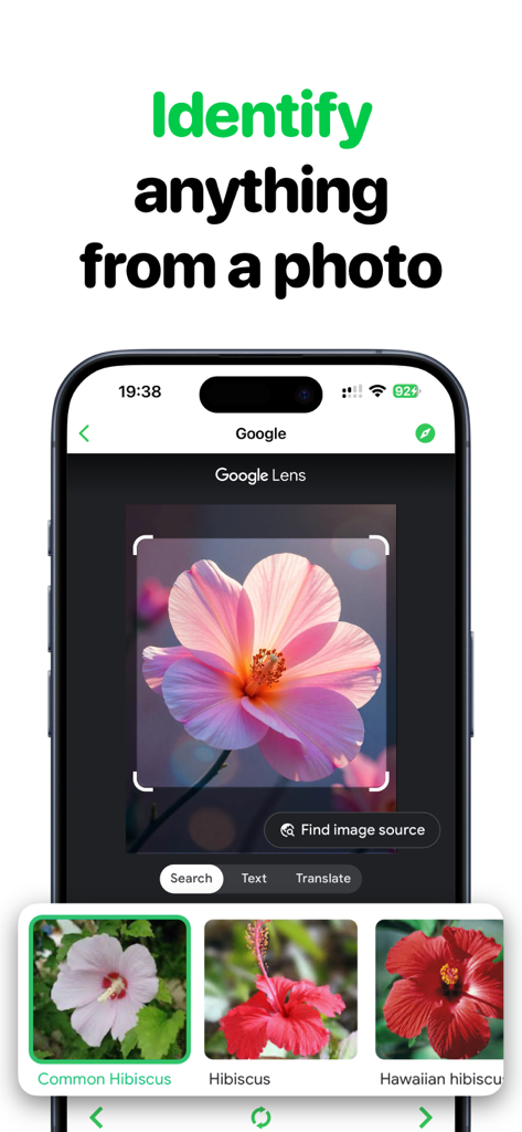 Mobile app interface showing the identification of a pink hibiscus flower using image search results