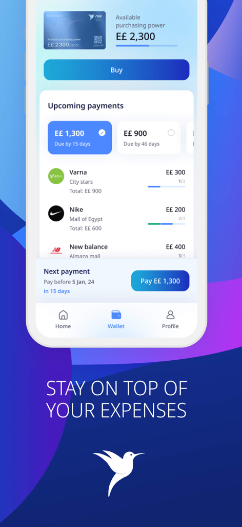 Rise Egypt - A mobile interface of the Rise Egypt app displaying upcoming payments and purchasing power for a Buy Now Pay Later service.