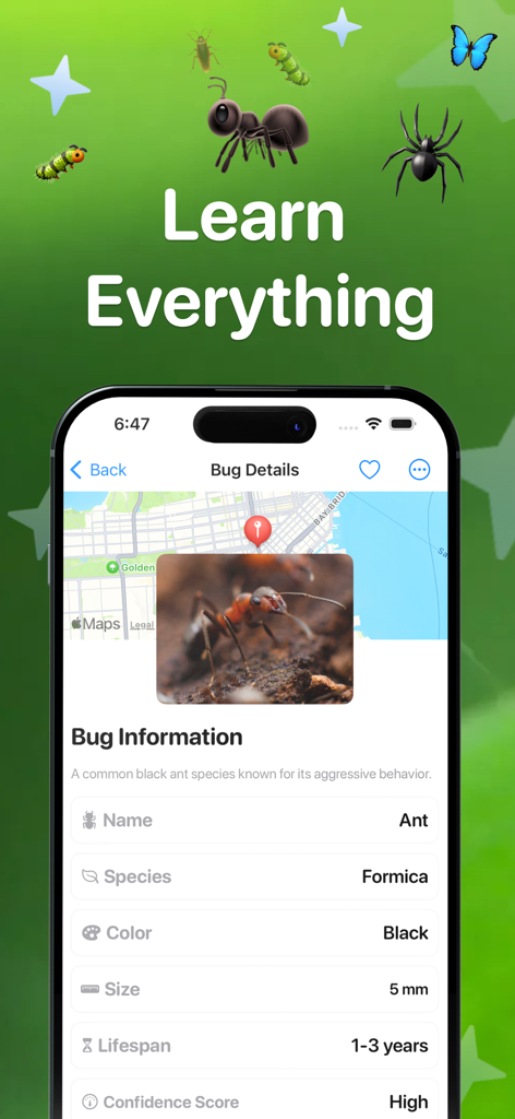 Una pantalla de smartphone que muestra información detallada de la especie para una hormiga negra identificada, incluyendo su esperanza de vida y tamaño