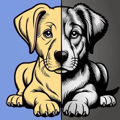 realistic dog split picture