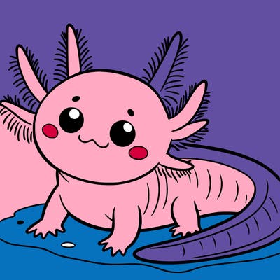 axolotl