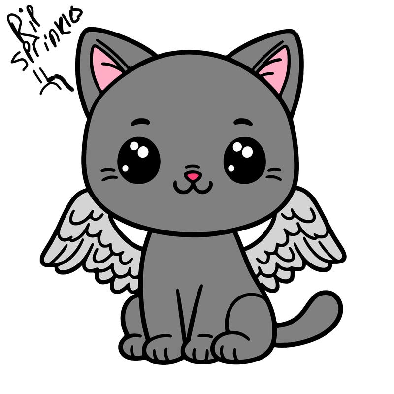 cat with wings