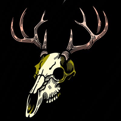 deer skull
