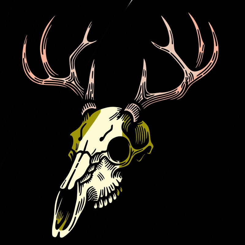deer skull
