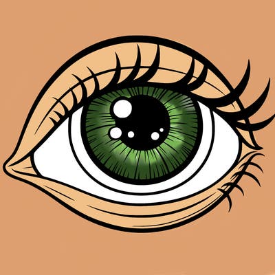 eye