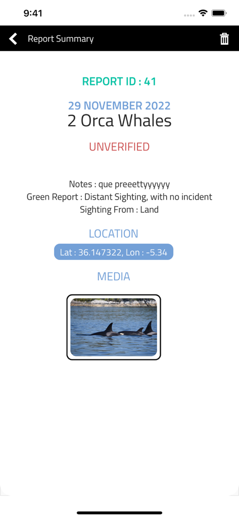Orcinus - Screenshot of the Orcinus app showing a report summary for two orca whales with location coordinates and a sighting photo