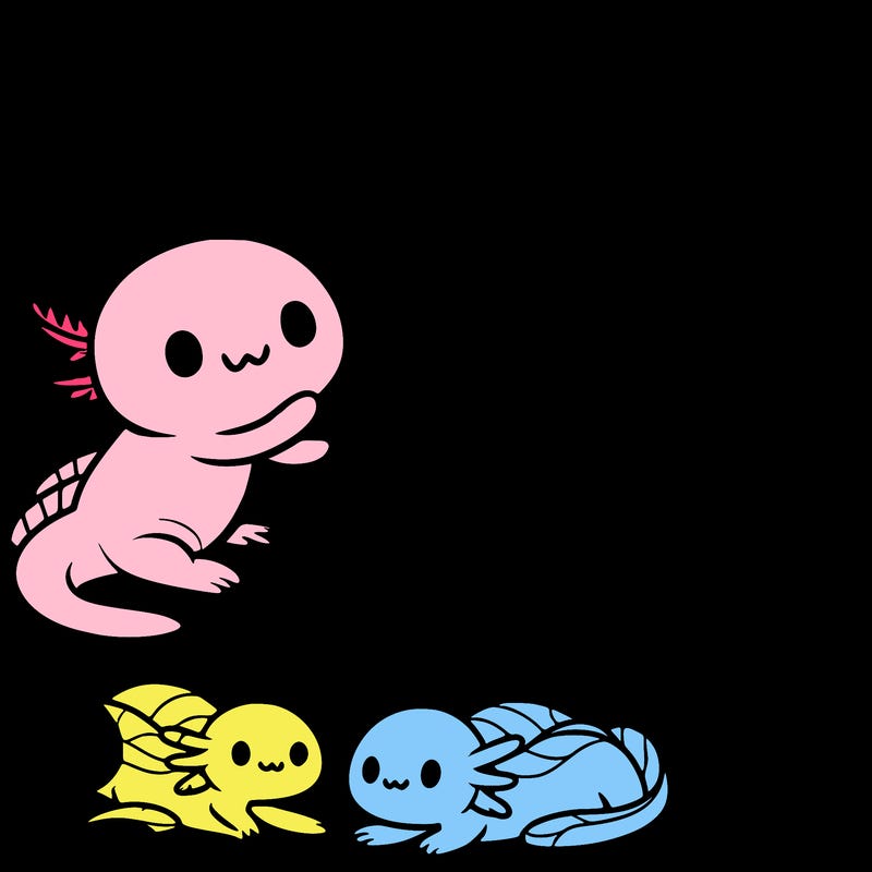 three  axolotl’s and a sign that says the only color an axolotl can be is pink black and gold  super cute animated