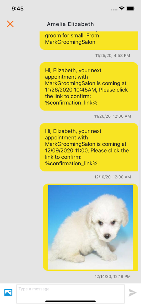 In-app chat interface showing automated appointment reminders and a pet photo within the GrooMore messaging center