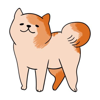 animals_29
