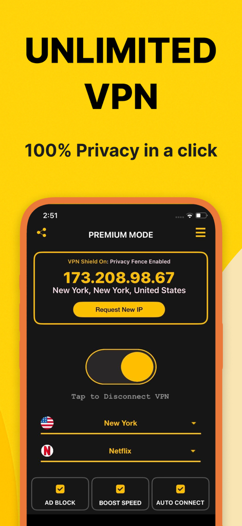 Interface of the Best VPN app on iPhone showing premium mode with privacy protection and New York server connection