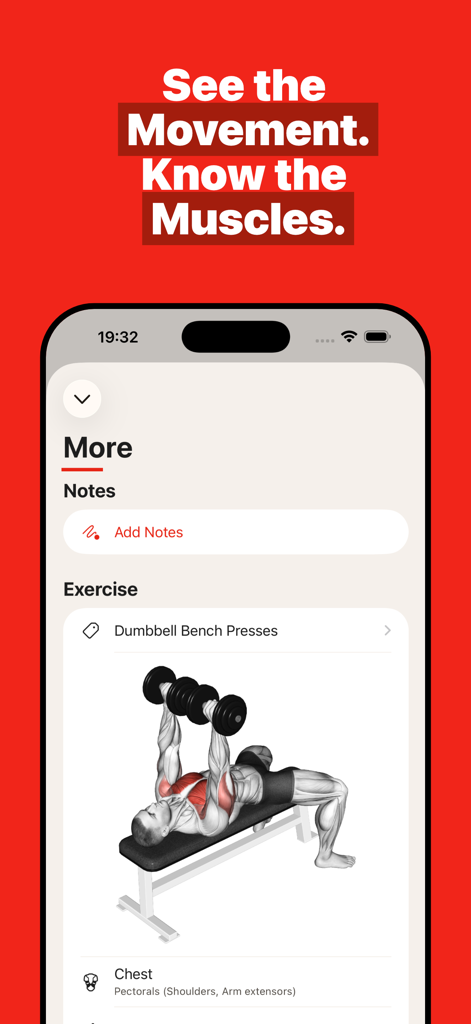 GymBook ・ Strength Training - GymBook app displaying muscle anatomy for a dumbbell bench press