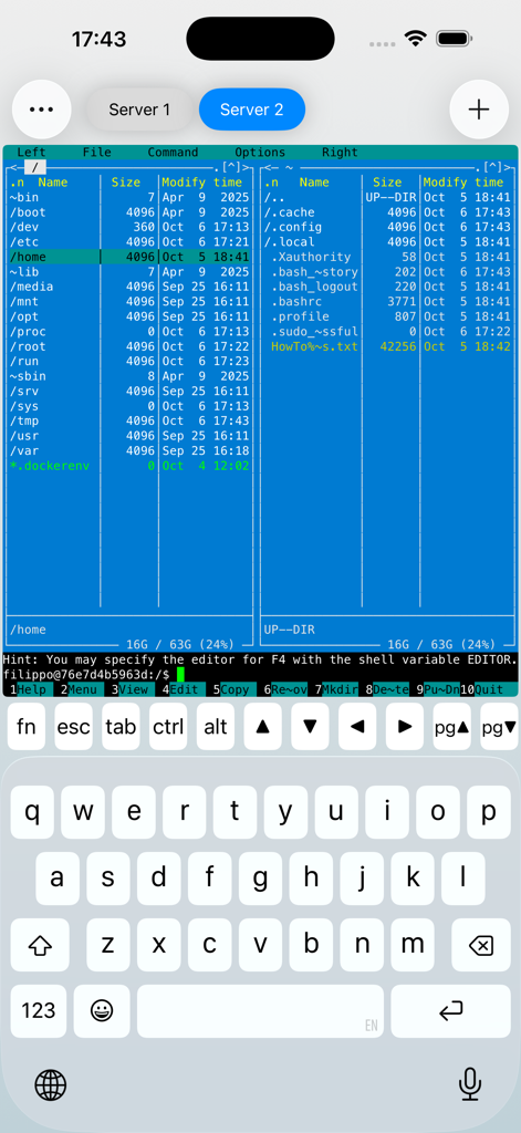 Secure Terminal - Secure Terminal app showing a terminal based dual pane file manager and custom keyboard on iPhone