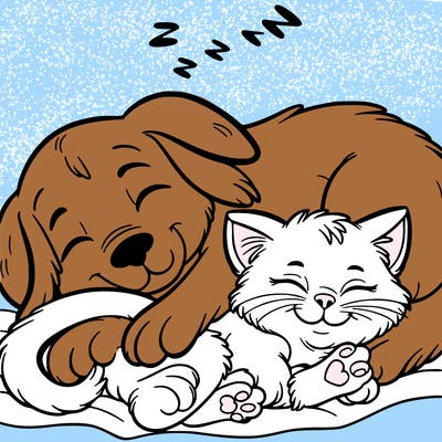 cat and dog sleeping together