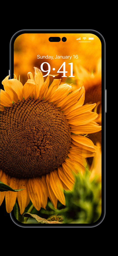 Depth Wallpaper & Live Effect - iPhone lock screen with sunflower wallpaper showing the depth effect