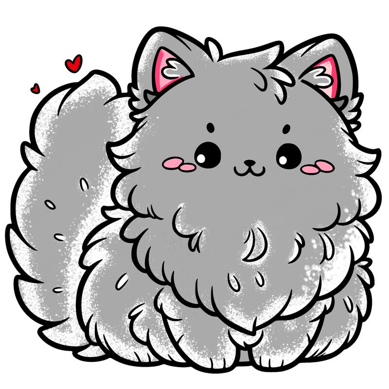 cute fluffy cat