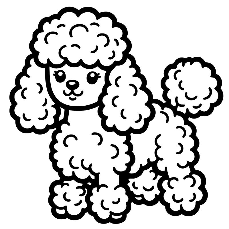 poodle