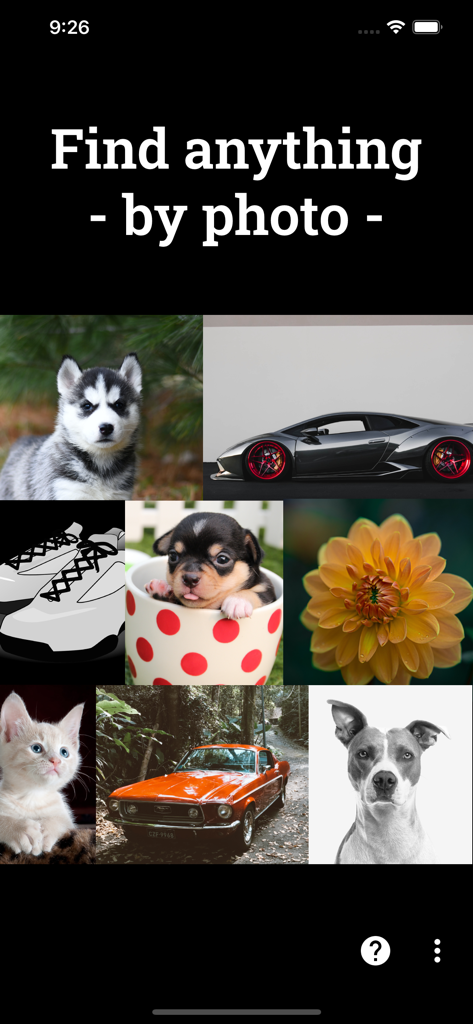 Photo Sherlock search by image - Photo Sherlock app home screen displaying a grid of photos including animals and cars with text Find anything by photo